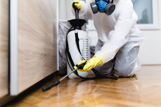 Best Commercial Pest Control Services  in East End, AR