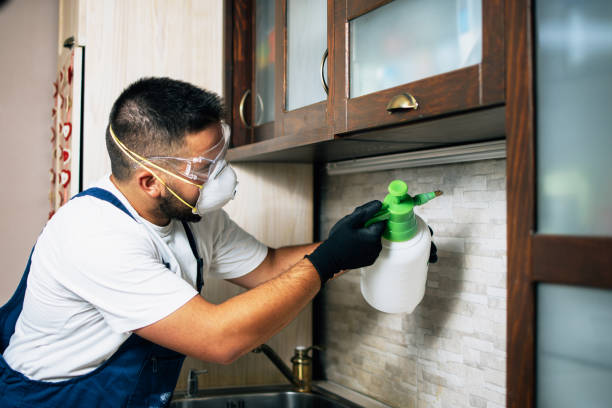 Professional Pest Control in East End, AR