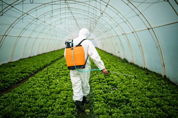 Best Best Pest Control Companies  in East End, AR