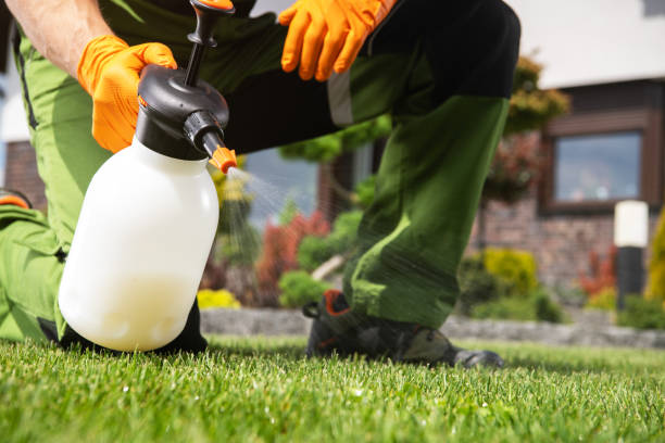 Best Flea Control Services  in East End, AR