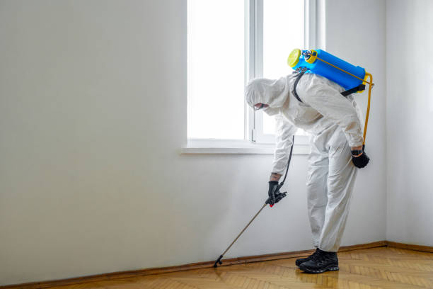 Best Mosquito Control Services  in East End, AR