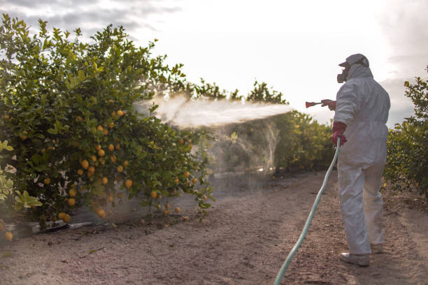  East End, AR Pest Control Pros