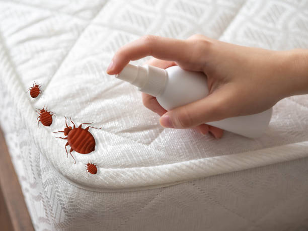 Best Residential Pest Control  in East End, AR