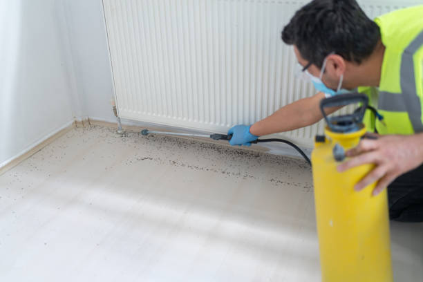Best Ant Control Services  in East End, AR