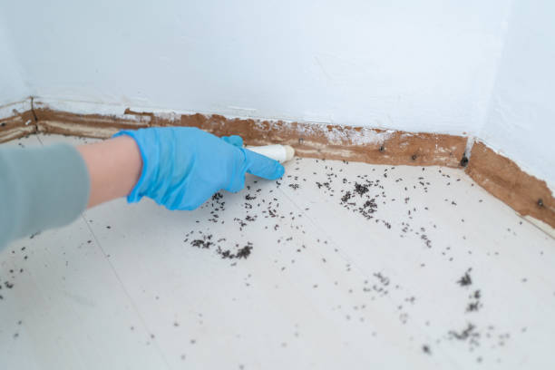 Best Wildlife Control Services  in East End, AR