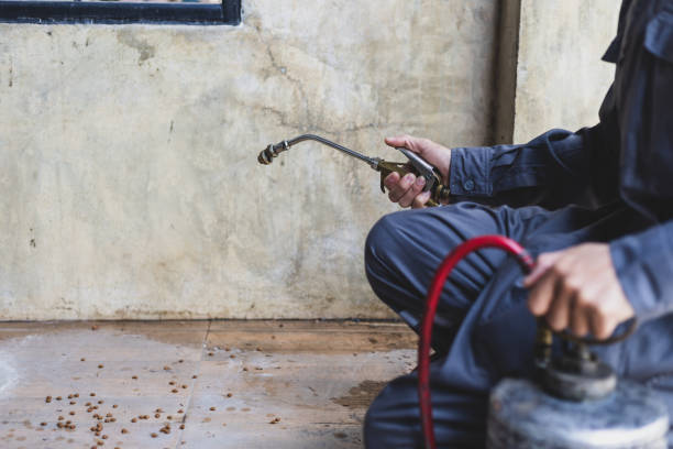 Best Pest Removal Services  in East End, AR