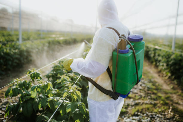 Best Exterminator Services  in East End, AR